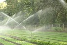 Cannalandscaping-water-management-and-drainage-17.jpg; ?>